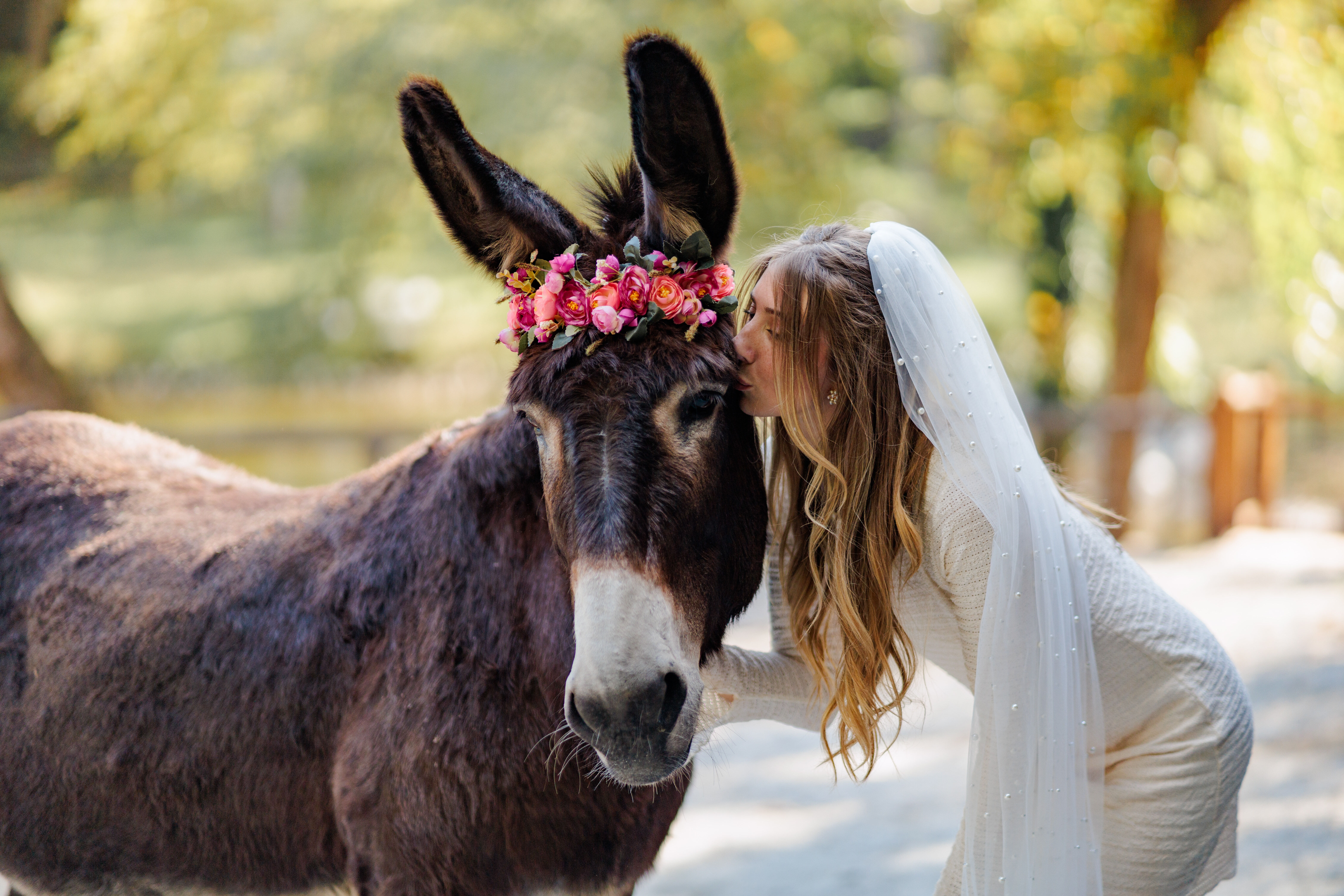 Couple celebrating just being married in North Georgia's Farm Wedding Venue
