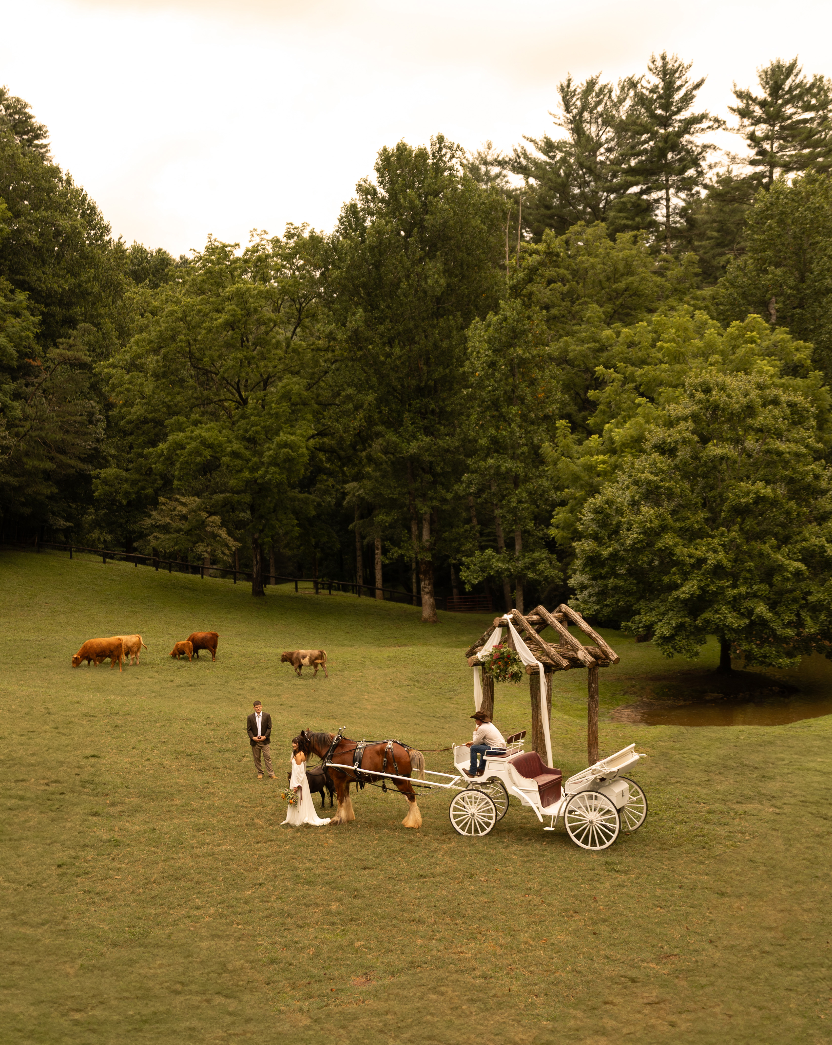 Petting donkeys at Satolah Creek Farm wedding venue in North Georgia