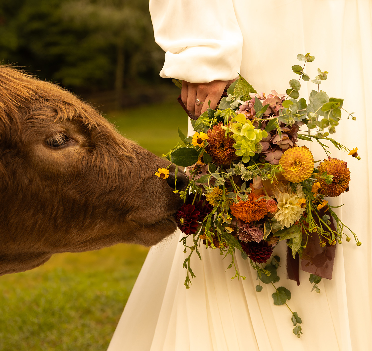 Bride with horse and carriage at Satolah Creek Farm wedding venue in North Gerogia