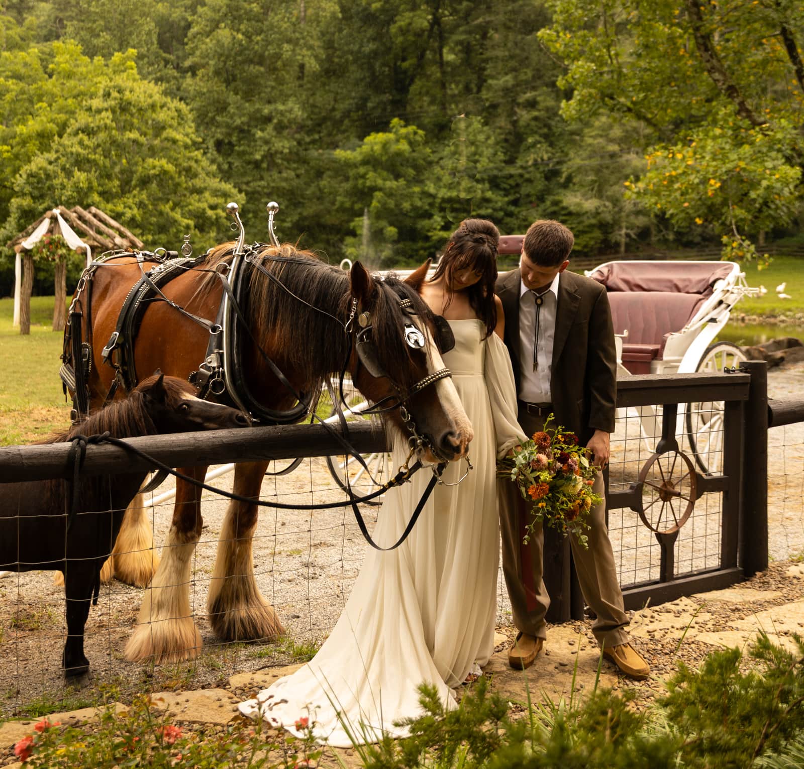Petting donkeys at Satolah Creek Farm wedding venue in North Georgia
