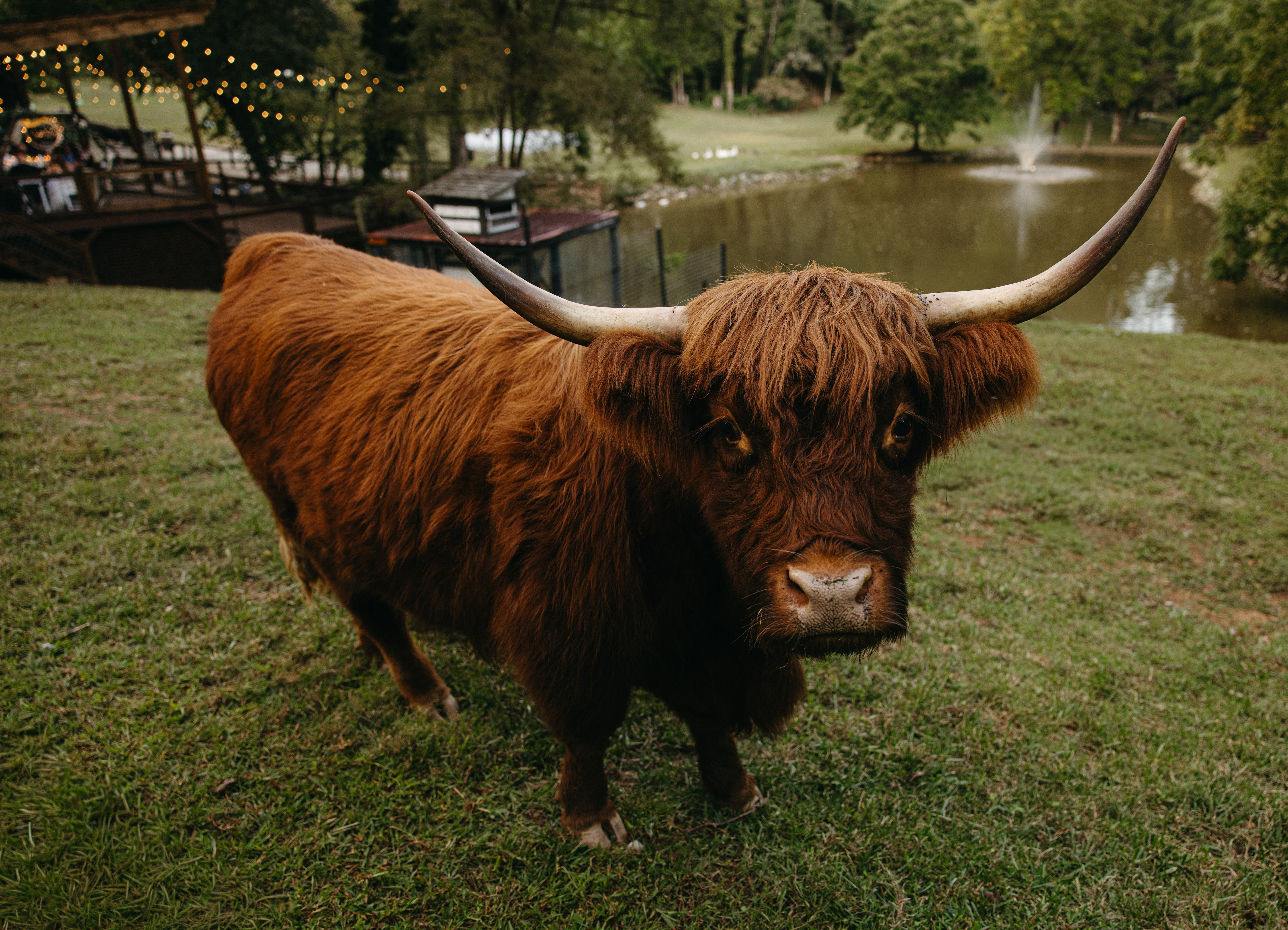 Guests dancing at reception at Satolah Creek Farm wedding venue in North Georgia