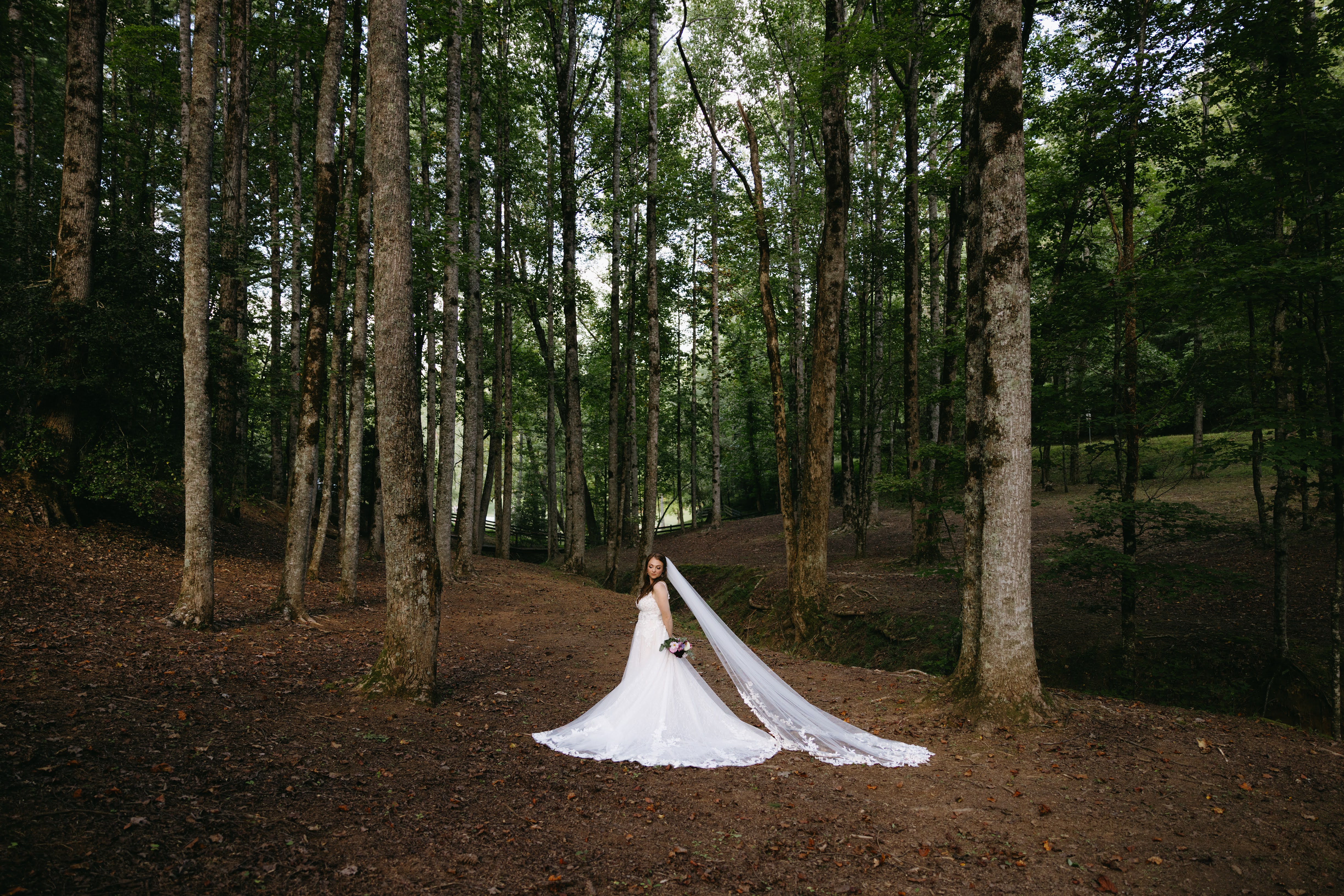 Bride with horse and carriage at Satolah Creek Farm wedding venue in North Gerogia