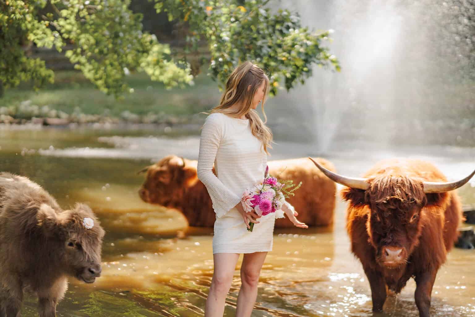 Satolah Creek Farm experience