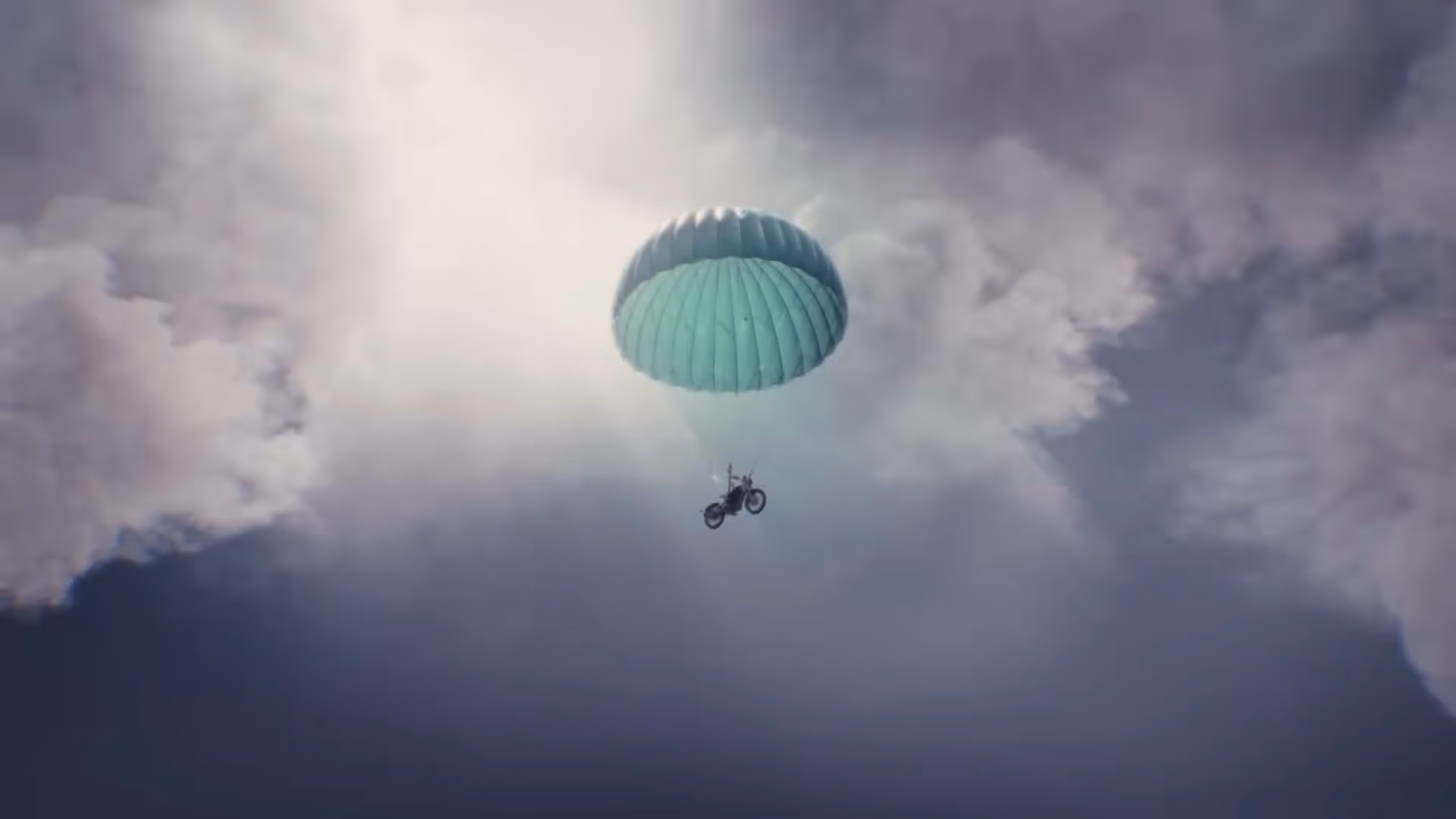 Flying Flea