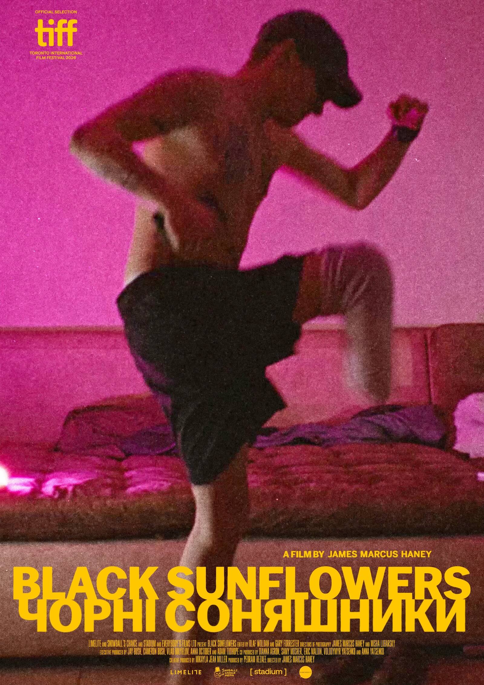 Black Sunflowers