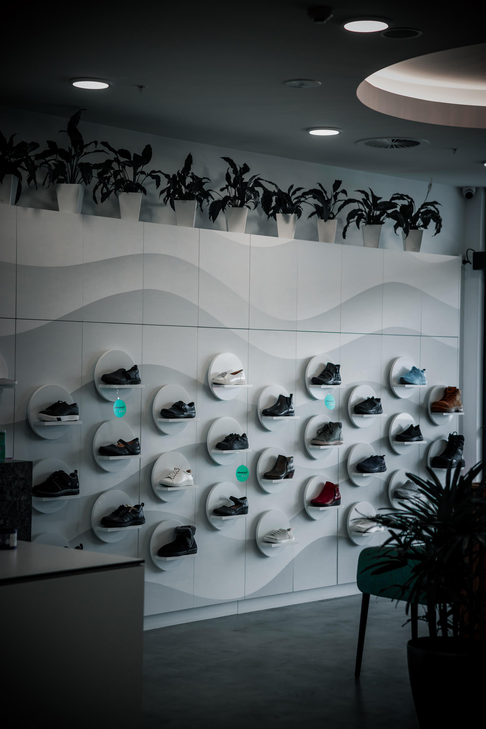 Store wall display with various shoes mounted on round shelves under potted plants.