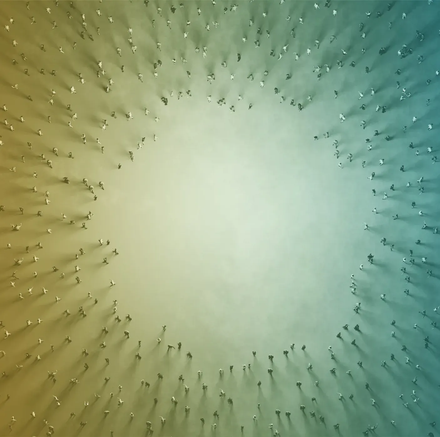 Decorative visual element related to higher education services