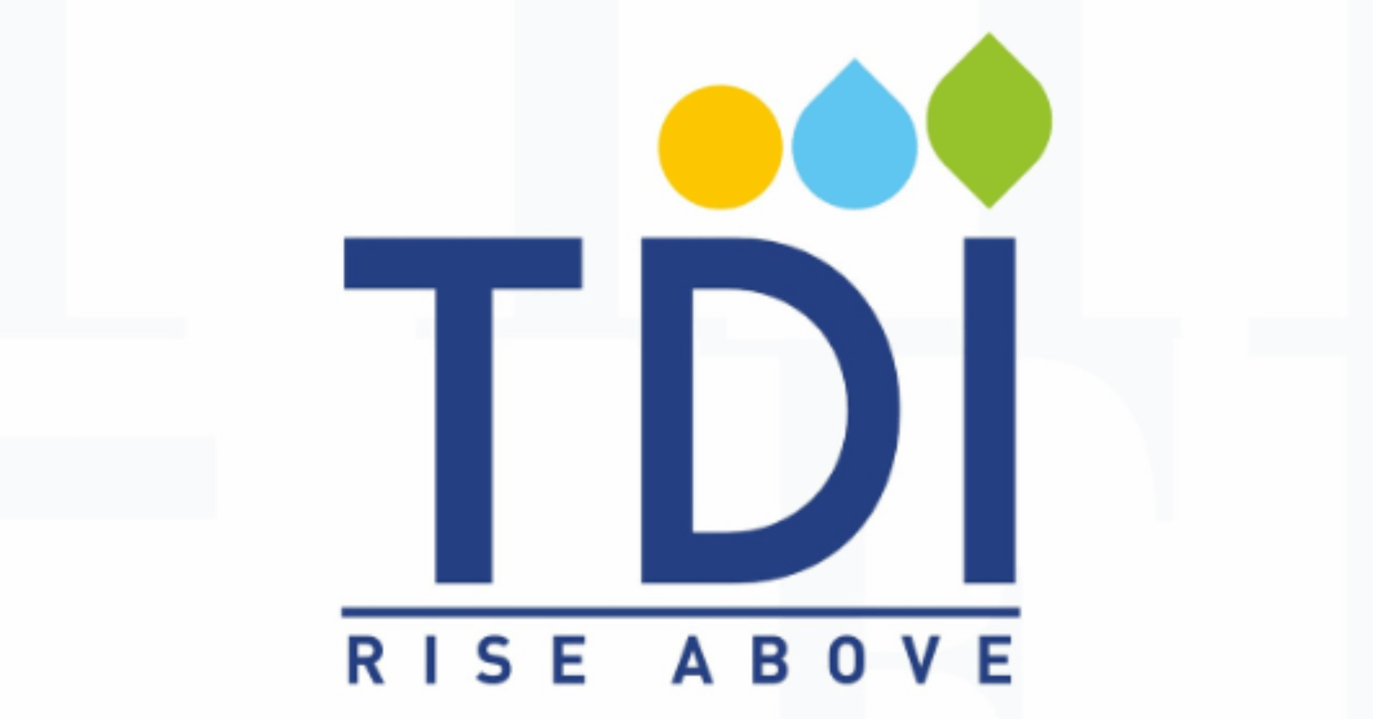 TDI logo