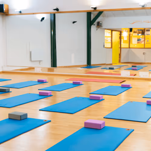 Salle Alésia Dansomania cours yoga, pilates et fitness Yoze
