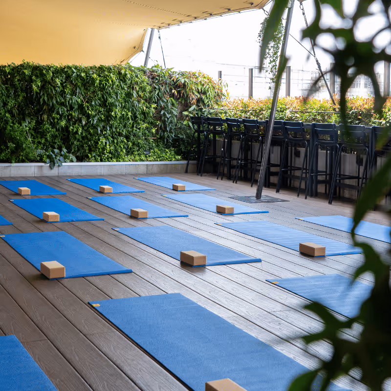Espace extérieur avec tapis de yoga bleus et blocs disposés sur un sol en bois, entouré de murs végétaux et de chaises hautes.