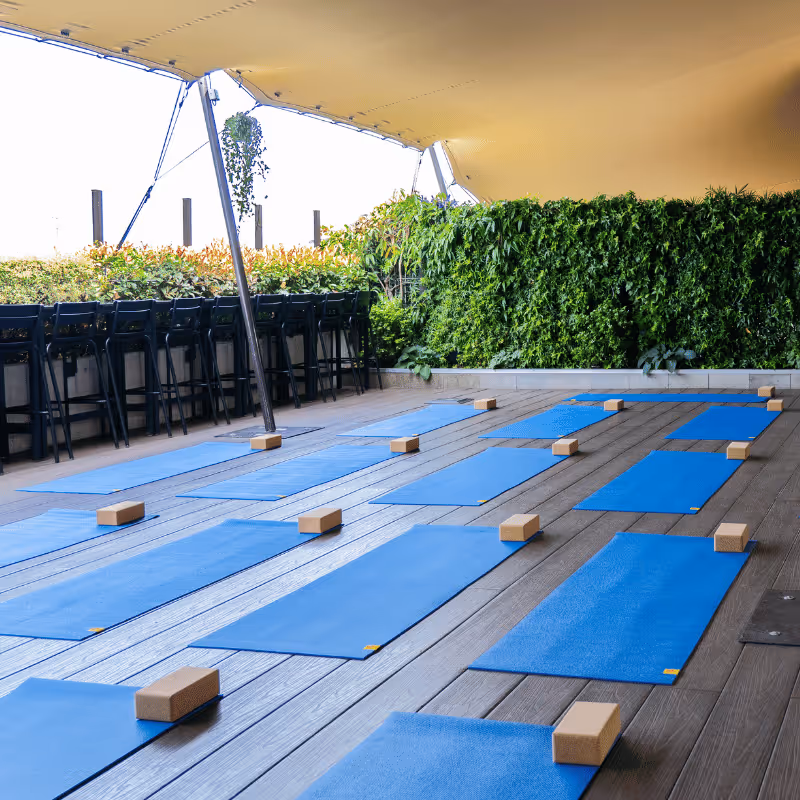 Tapis de yoga bleus alignés sur un sol en bois sous un abri, avec des blocs de yoga et un mur végétal en arrière-plan.