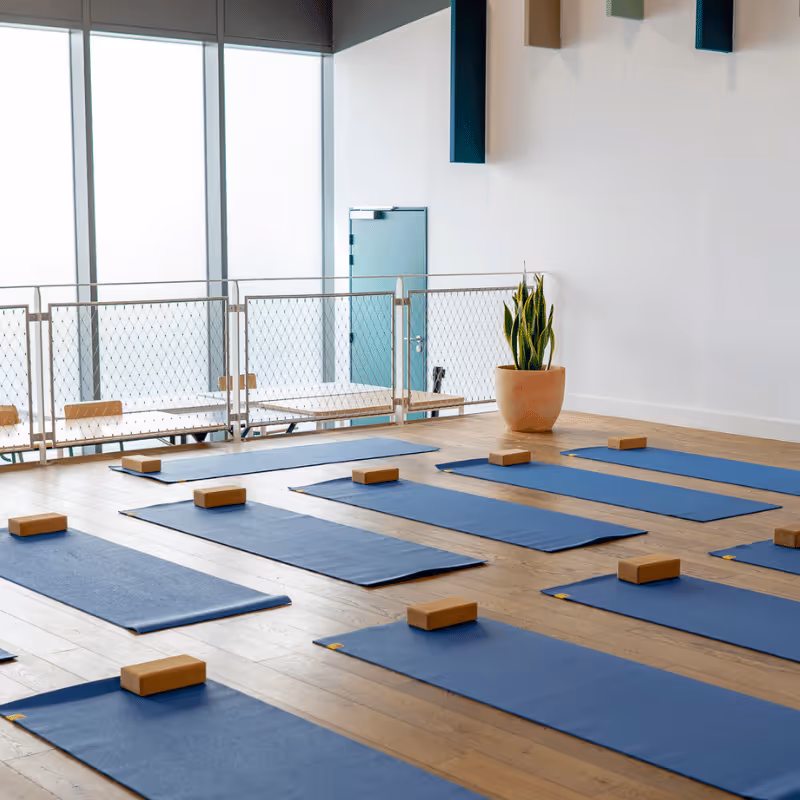 Salle de yoga avec des tapis bleus et des briques de yoga disposés sur un sol en bois, grands miroirs au mur