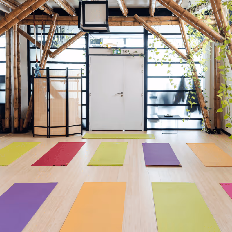 Salle de yoga avec des tapis bleus et des briques de yoga disposés sur un sol en bois, grands miroirs au mur
