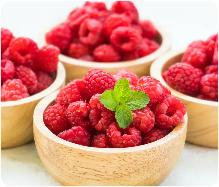 Hand-picked raspberries from Ukraine - natural sweetness for UK market
Premium Ukrainian raspberries - sustainable supply to UK businesses