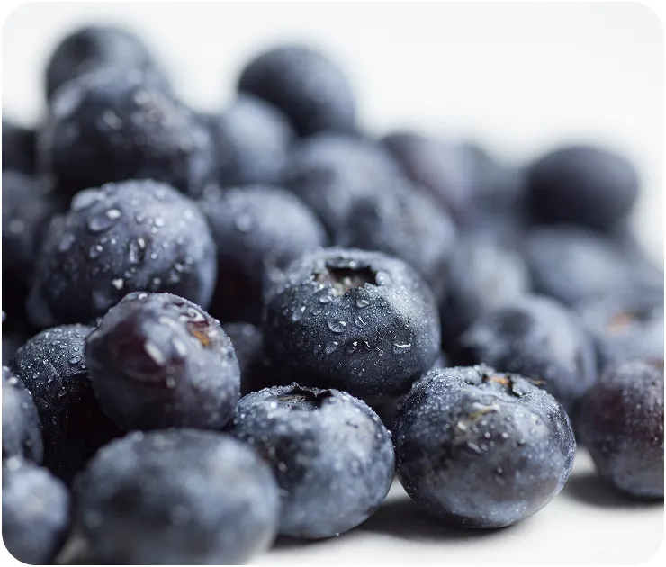 Fresh Ukrainian blueberries - premium quality for UK wholesale