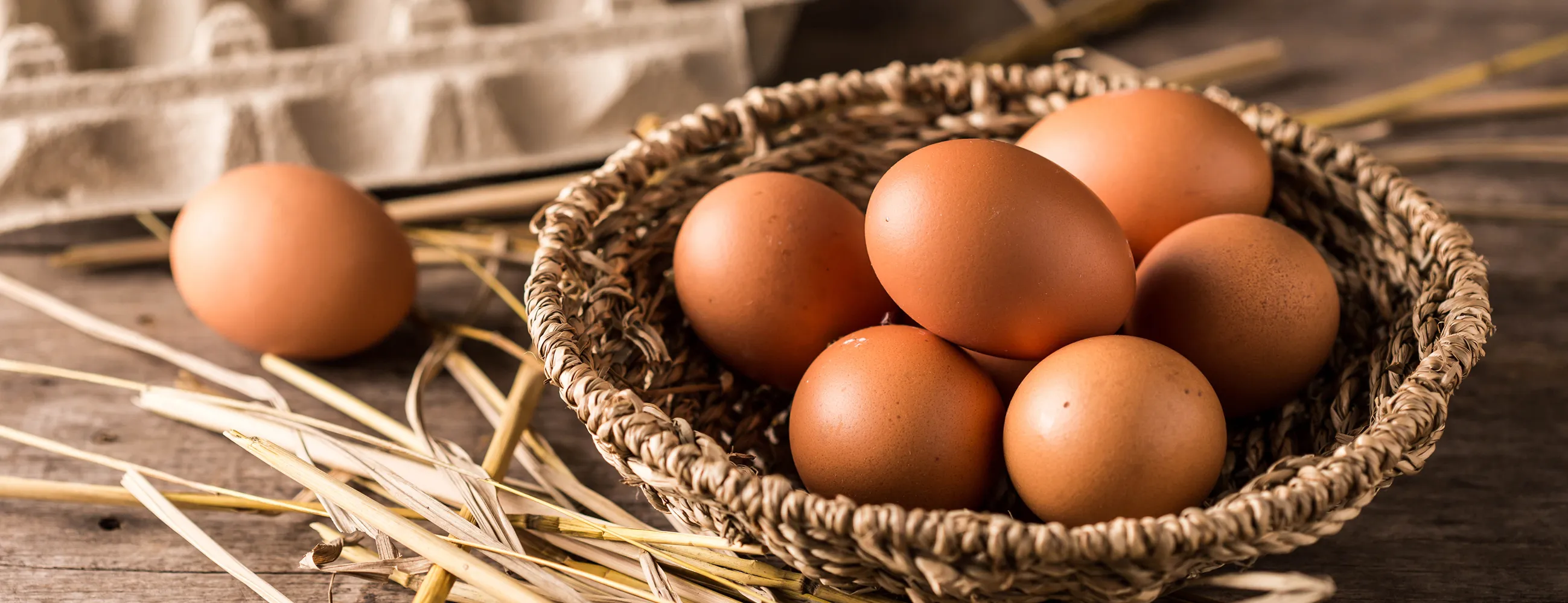 Farm-fresh eggs from Ukraine - natural goodness for UK food industry
Premium Ukrainian eggs with golden yolks - wholesale supply to UK