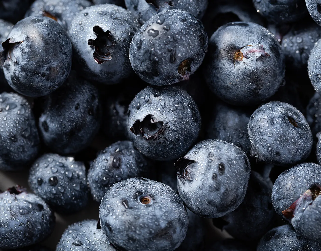 Fresh Ukrainian blueberries - premium quality for UK wholesale