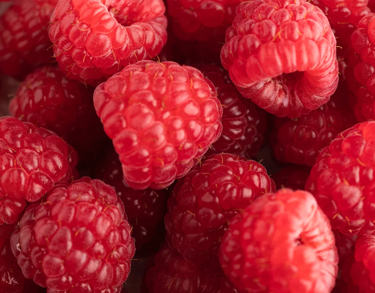 Hand-picked raspberries from Ukraine - natural sweetness for UK market
Premium Ukrainian raspberries - sustainable supply to UK businesses