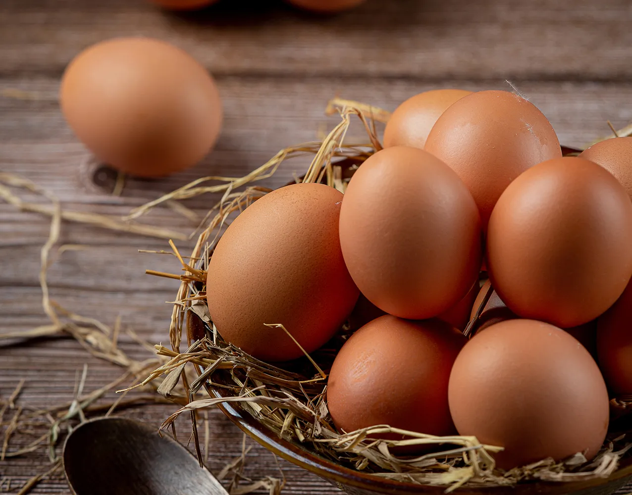 Farm-fresh eggs from Ukraine - natural goodness for UK food industry
Premium Ukrainian eggs with golden yolks - wholesale supply to UK