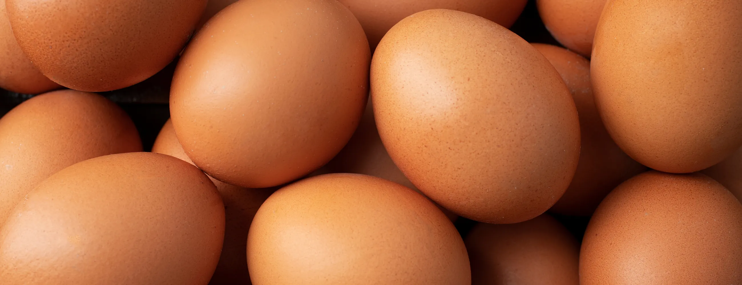 Farm-fresh eggs from Ukraine - natural goodness for UK food industry
Premium Ukrainian eggs with golden yolks - wholesale supply to UK
