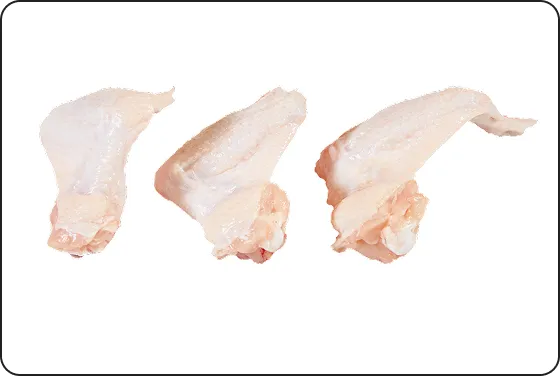 Frozen IQF chicken 2-joint wings without wrist, HALAL certified, packed in 2.5kg bags, export-ready for UK and EU