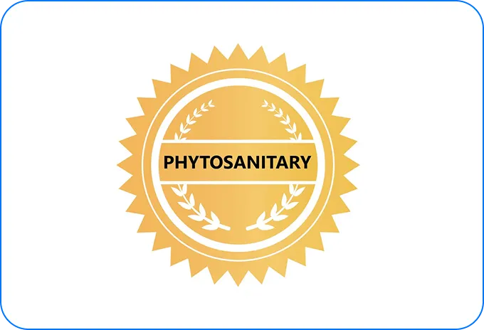 Phytosanitary certificate seal confirming export-quality control for Ukrainian white onions