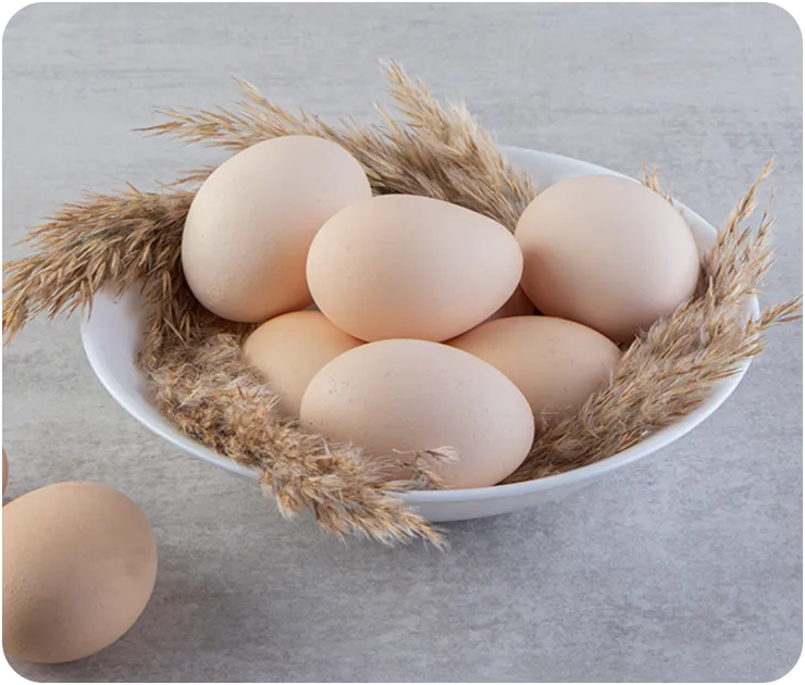 White bowl filled with brown eggs nestled among dried wheat stalks on a gray surface, with one egg outside the bowl.