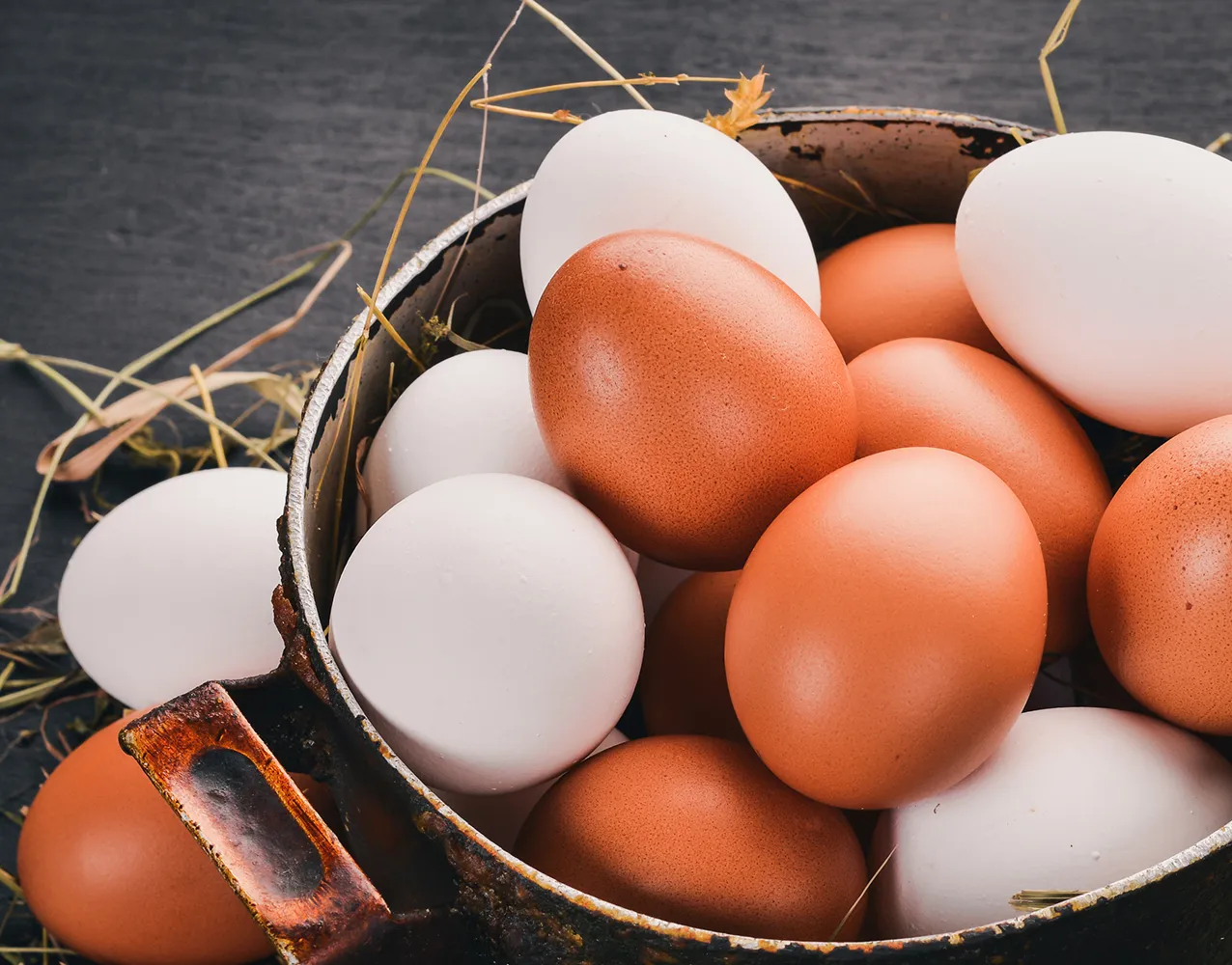 Rustic metal pot filled with a mix of brown and white eggs on a dark surface with scattered hay.