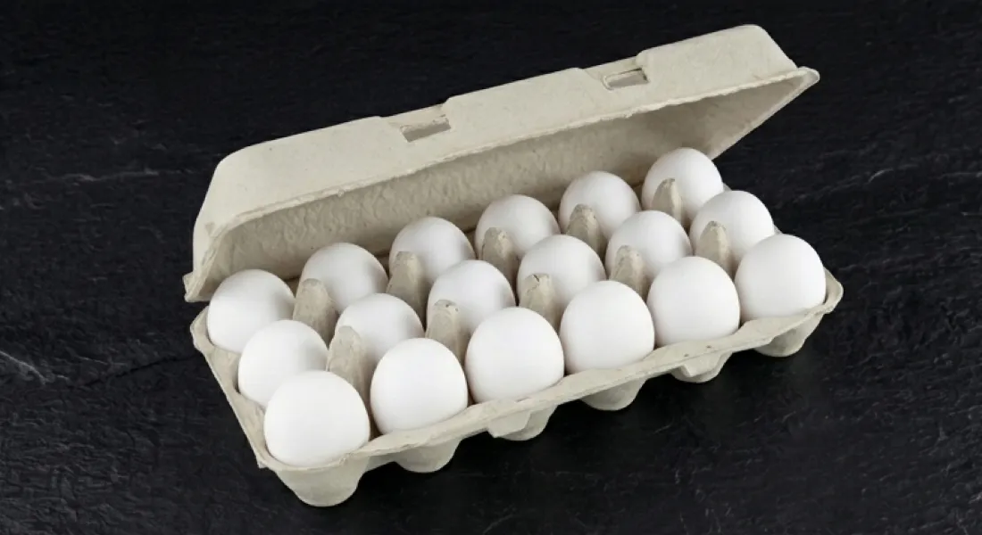 Open carton containing eighteen white Armin Plus eggs on a dark textured surface.