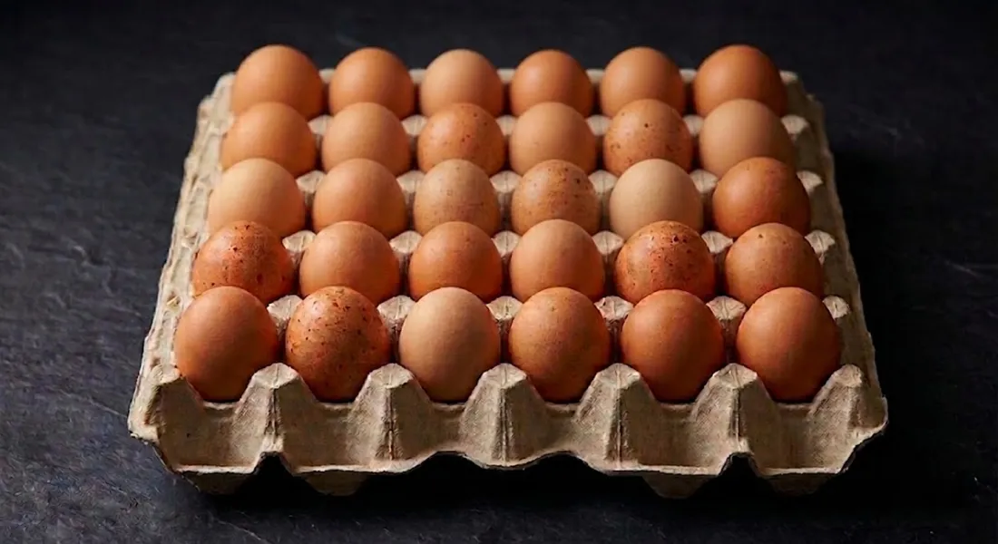 A cardboard carton holding 30 brown Armin Plus eggs arranged in six rows with a dark surface background.