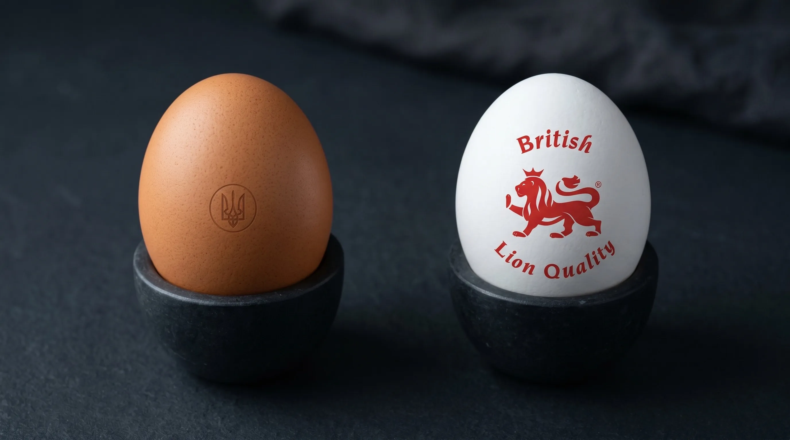 One brown and one white egg in black holders, white egg labeled British Lion Quality with red lion logo. Armin Plus