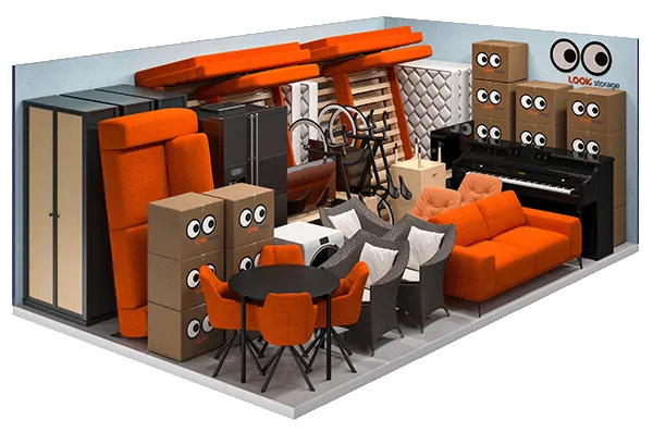 A graphic showing what fits inside a LOOK 250 square feet unit
