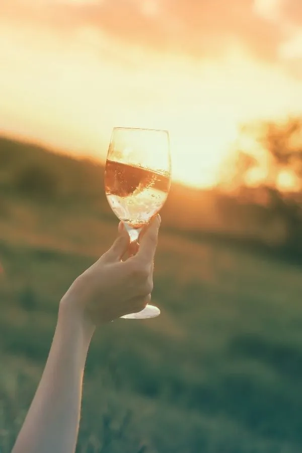 Copo de Vinho Branco ao Entardecer na Quinta da Alameda em Santar no Dão