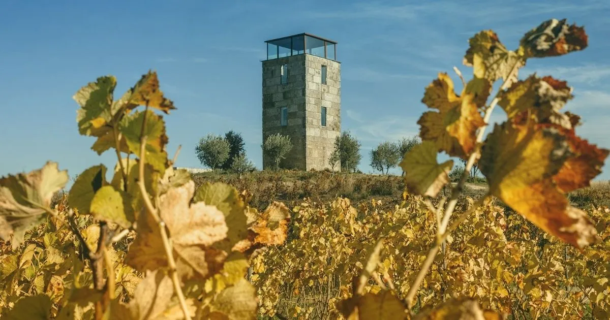 Torreão da Quinta da Alameda com Vinhas de Outono