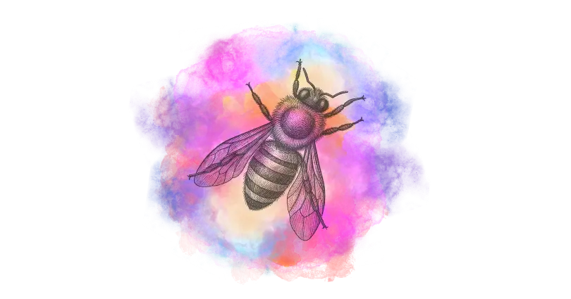 Desenho detalhado de uma abelha com asas transparentes sobre um fundo colorido em tons de rosa, azul e laranja.