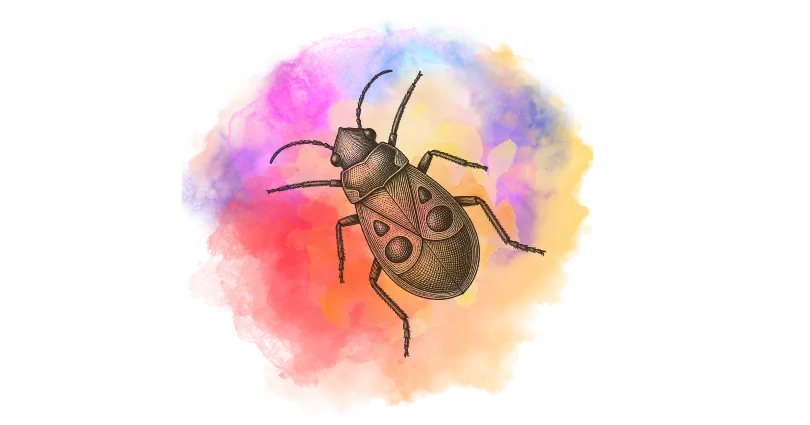 Ilustração detalhada de um besouro marrom sobre fundo aquarela colorido.