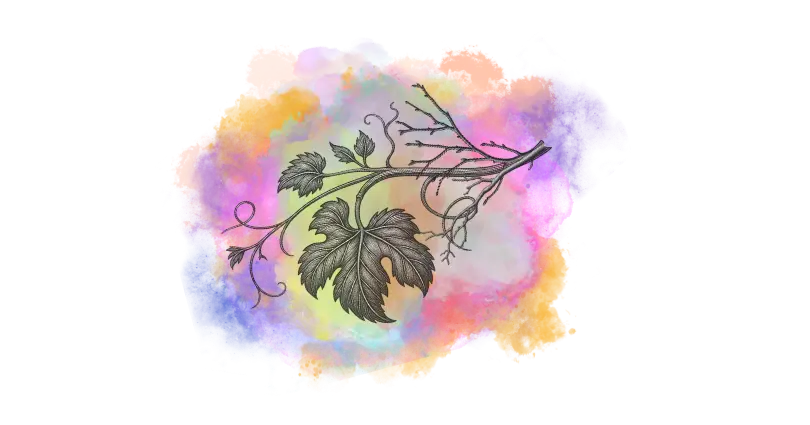 Ilustração detalhada de ramo de videira com folhas e galhos sobre fundo colorido aquarela.