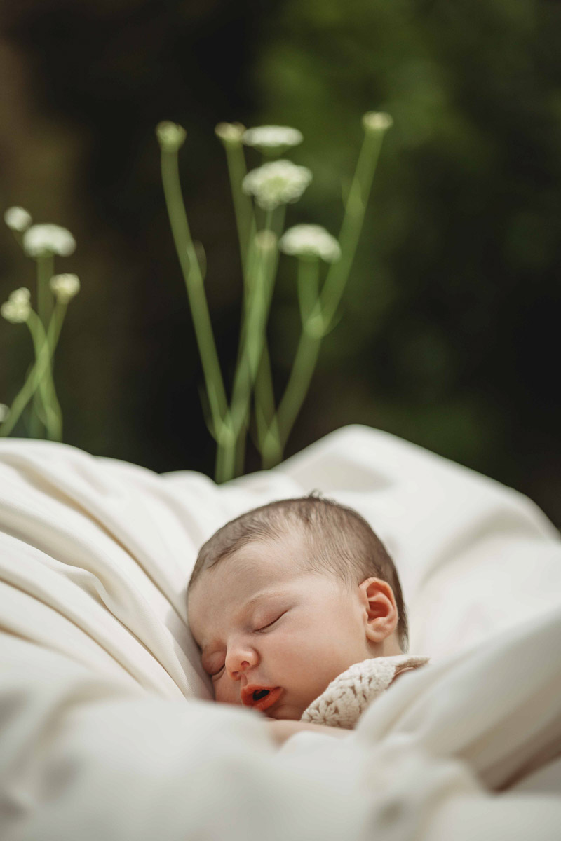 Newborn in the garden
