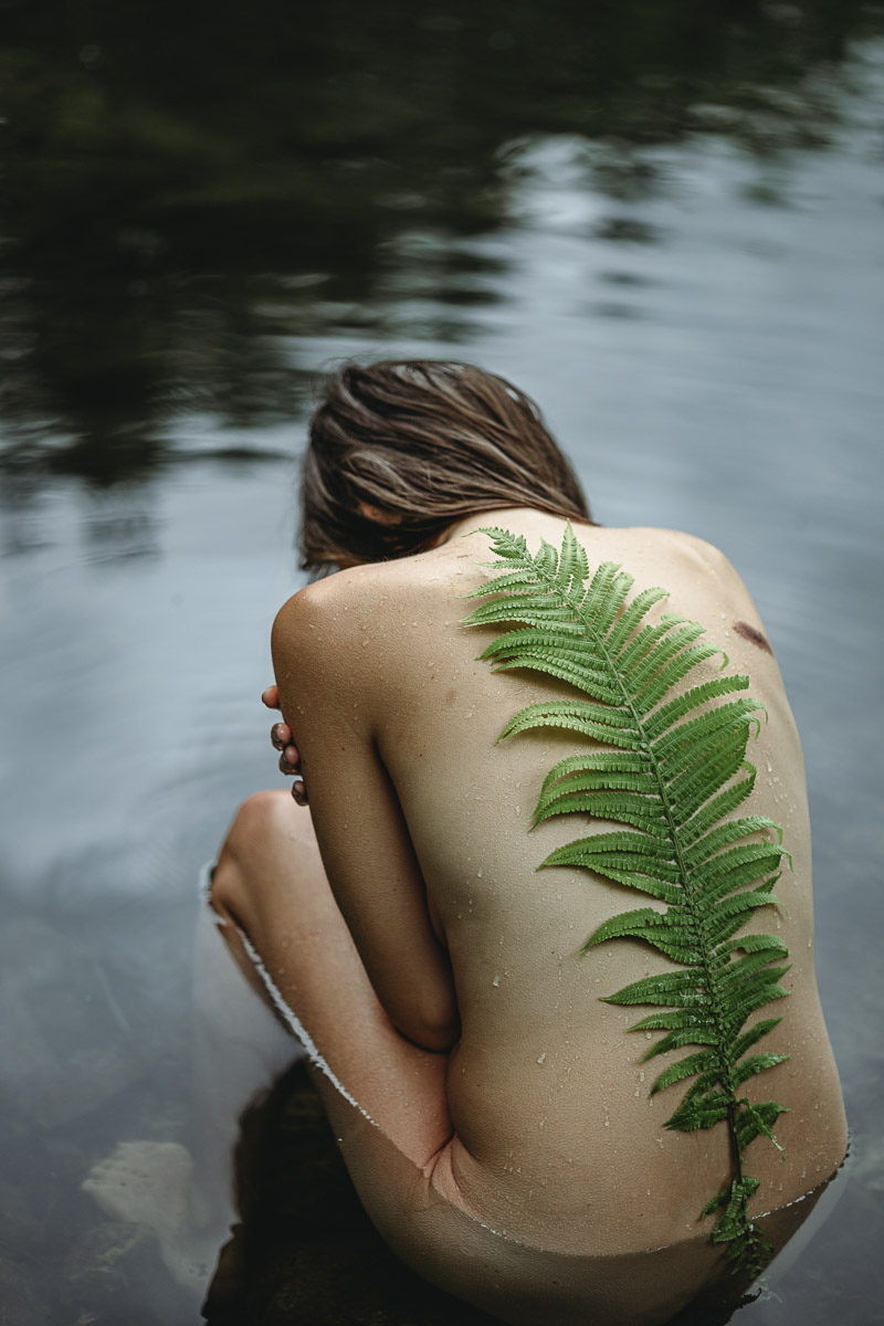 Portfolio Image