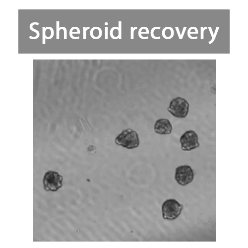Spheroid recovery