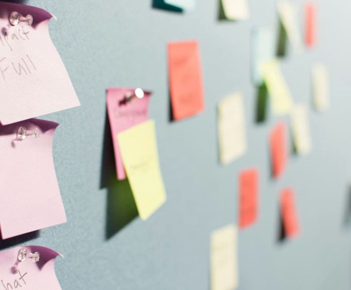 Elayne Resources | Employee Benefits for HR professionals - How Offering the Right Benefits Can Transform Your Small Business