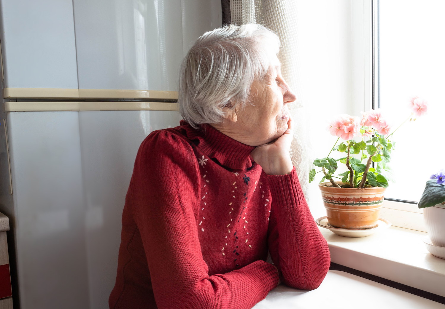 BULK (11.5 x 8 in) (11).png