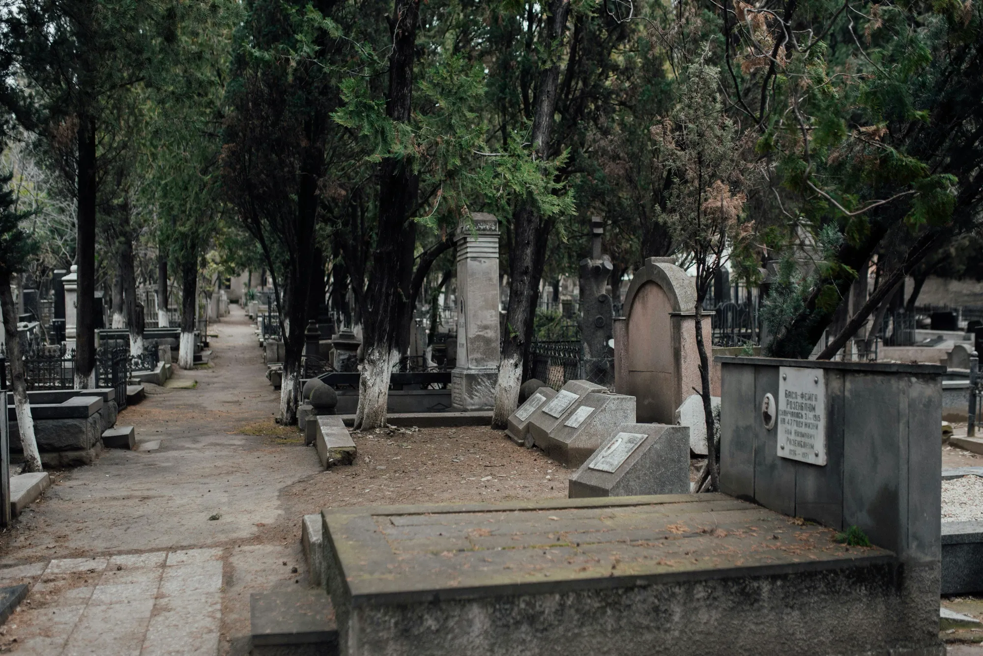 A serene cemetery with numerous tombstones surrounded by trees, symbolizing remembrance and honoring loved ones.