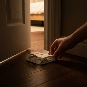 Cockroach trap in bedroom