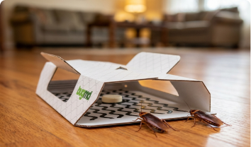 Goes to work instantly