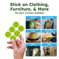 Vamoose! product image 4