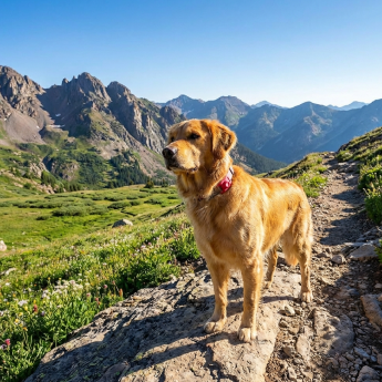 Hiking Trails