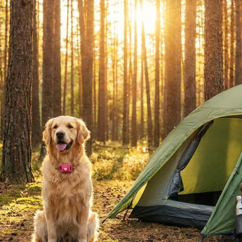 Camping