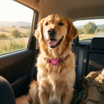 Road Trips