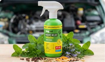 Plant-Powered Formula